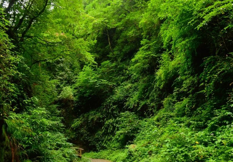 Tirthan Valley Tour Package