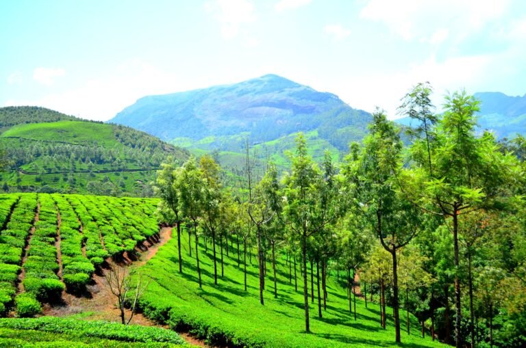 Best Of Kerala With Houseboat Stay